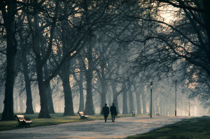 Morning Fog in Hyde Park